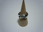 DSCN1059.jpg