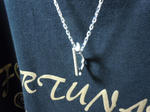 DSCN1294.jpg