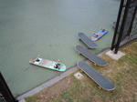 DSCN1364.jpg