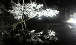 080409_194135.jpg