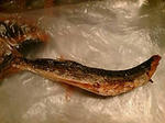 dashi01.jpg