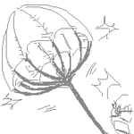 IMG_000090.png