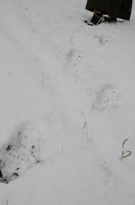 DSC_3803.JPG