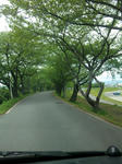 DVC00156.jpg
