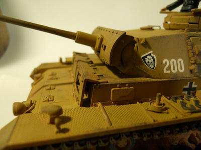 DSCN0300.JPG