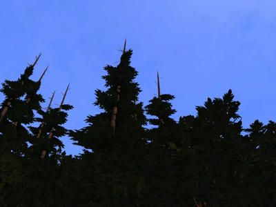 snapshot_00000028_d90444b7.jpg