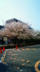 200904061107000.jpg