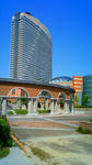 200905011056000.jpg