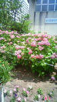 200906021058001.jpg
