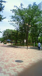 200906021058000.jpg