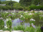 P1000151.jpg