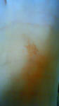 200907091517000.jpg