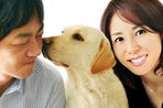 犬とあなたの物語 いぬのえいが