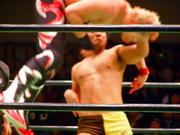P1250236.jpg
