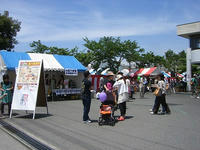CIMG6117.jpg