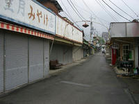 CIMG6305.jpg