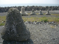 CIMG7460.jpg