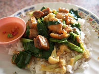 buta002.jpg