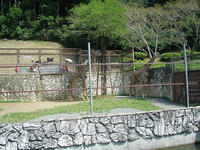P9060205.jpg