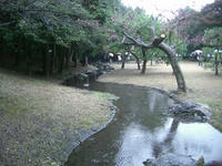 CIMG8671.jpg