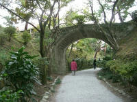 CIMG8648.jpg