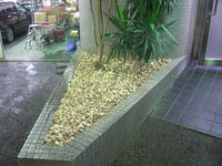 CIMG0320.jpg