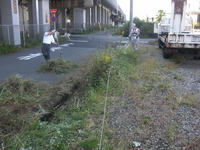 CIMG0339.jpg