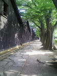 img254.jpg