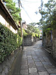 burari1