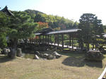burari5