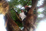 D1000013.JPG