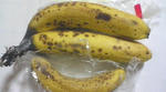 20080501_1.jpg