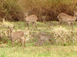 20110420.JPG