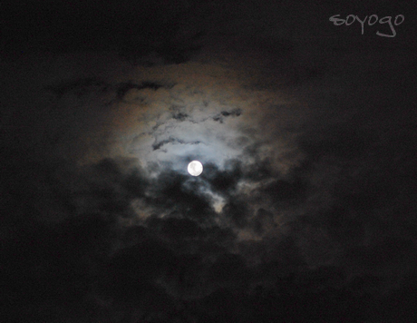 DSC_02751.PNG