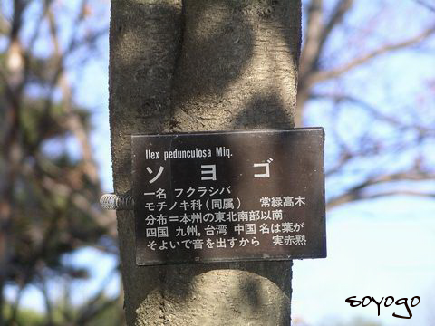 IMGP0222.png