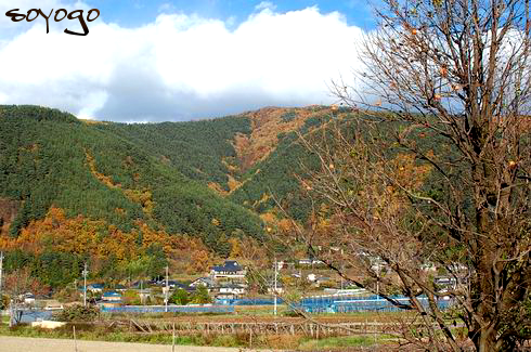 DSC_02931.png