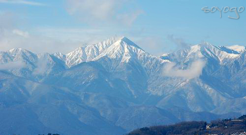DSC_0345.png