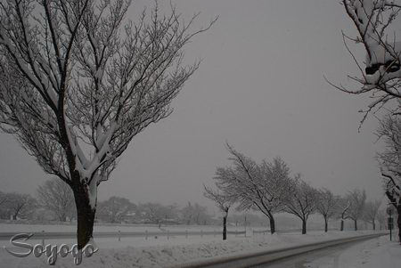DSC_0014.png