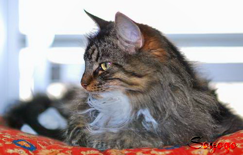 DSC_0046-1.png
