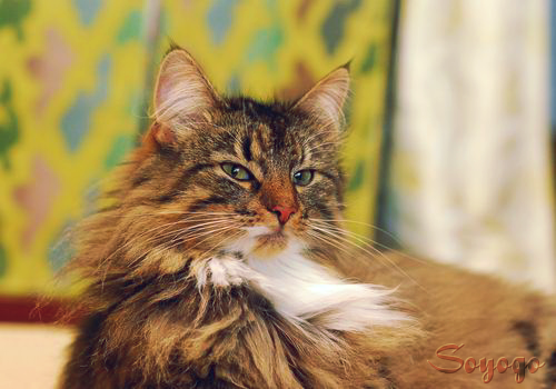 DSC_0064.png