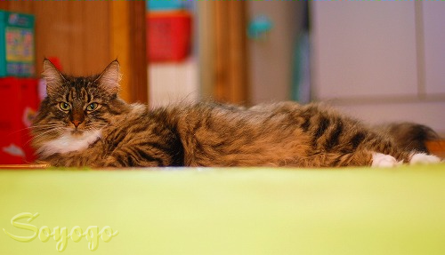 DSC_0091.png