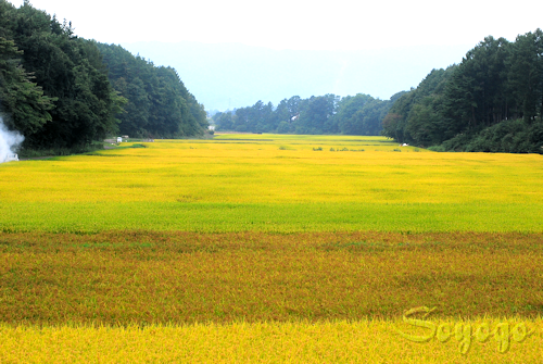 DSC_0123.png