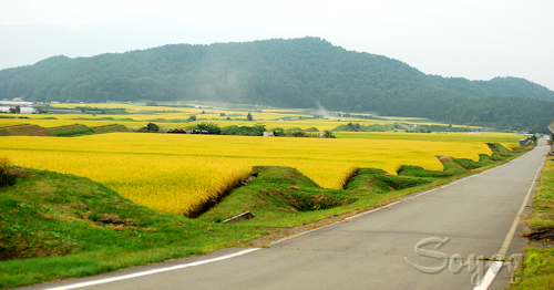 DSC_0105-1.png