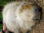 20080915_3.jpg