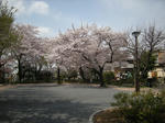 DSCN5609.jpg