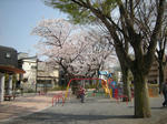 DSCN5611.jpg