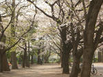 DSCN5615.jpg