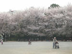 DSCN5618.jpg