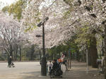 DSCN5619.jpg