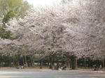 DSCN5620.jpg